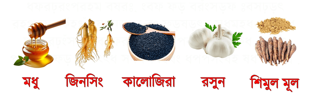 মধু, জিনসেং, কালোজিরা, রসুন, শিমুল-মূল